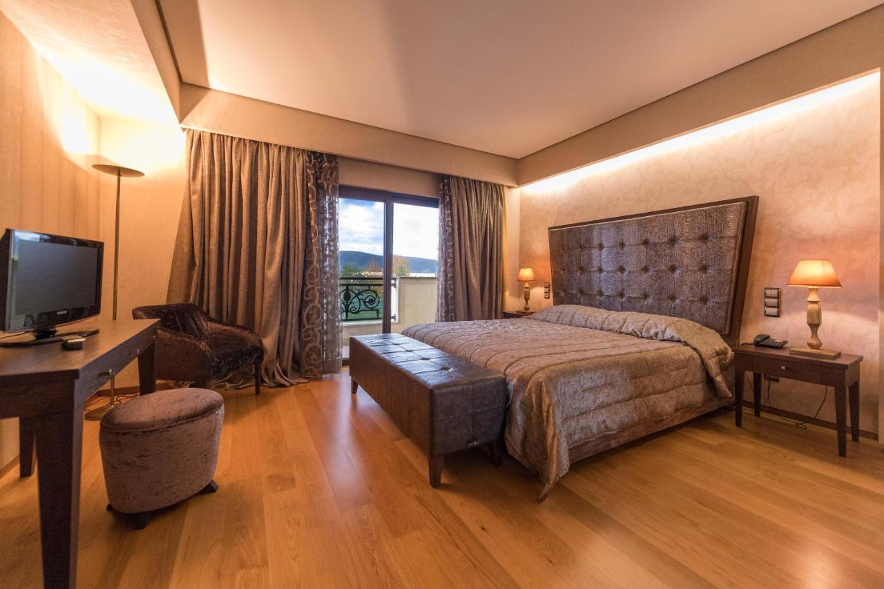 Hotel Byzantino Arta Extérieur photo